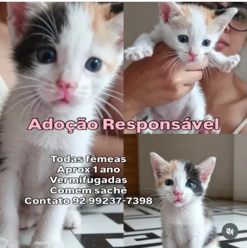 Adoção Responsável 