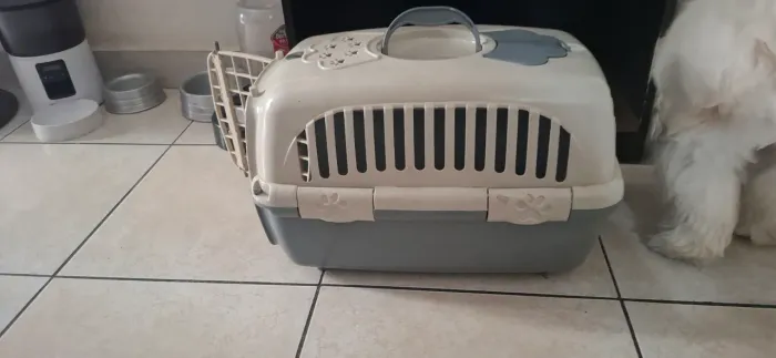 Caixa transporte pet