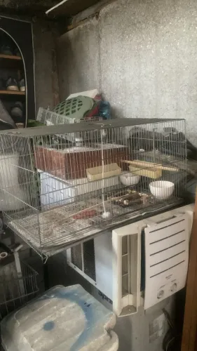 Gaiola Viveiro para criação Aramil