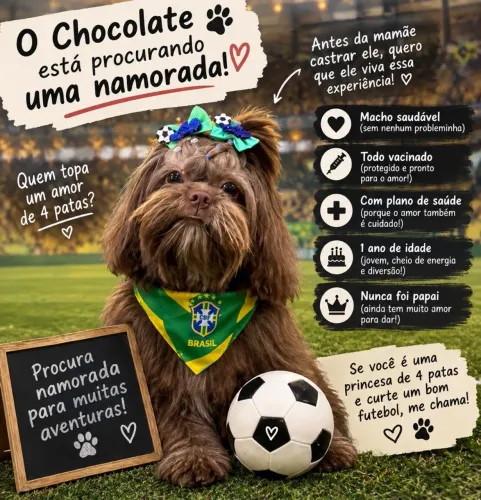 A procura de uma namorada 