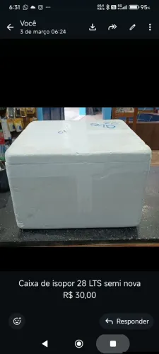 Caixa de Isopor 30 Litros