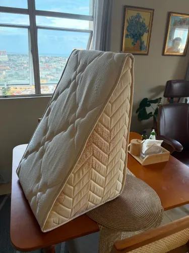Travesseiro Triangular Espuma Encosto Adulto Apoio Costas Repouso Leitura