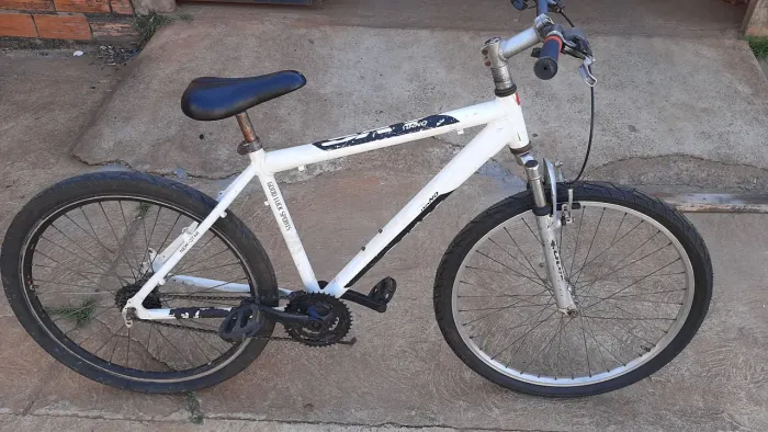 Aro26 adulto 