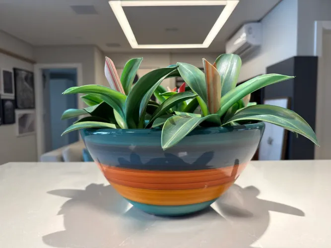 Vaso, Centro de Mesa ou Fruteira M - Alto Brilho 