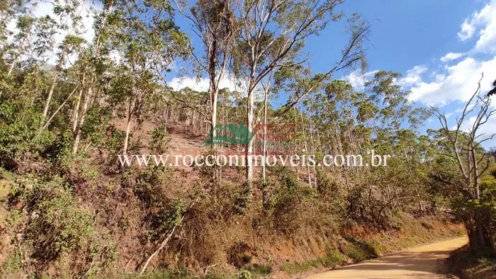 TERRENO RURAL EM MARECHAL FLORIANO/ES 20.000M2 TOTAIS ESCRITURADO E REGISTRADO