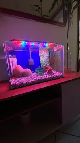 AQUÁRIO COMPLETO 25 LITROS ITENS NOVOS!