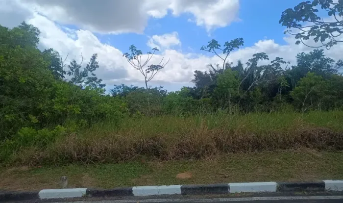 Lote Exclusivo de 688,89m² com fundo para Área Verde