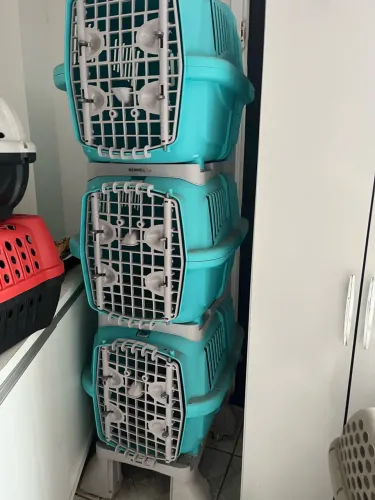 Kennel Pet