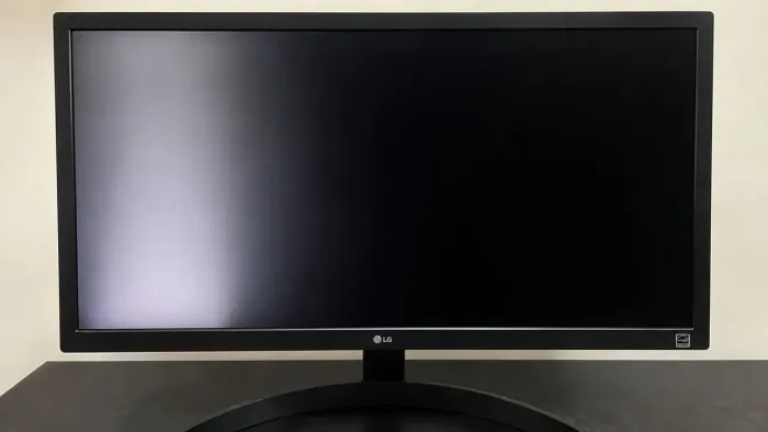 Monitor LG 25" UltraWide 25UM58-P - 2560x1080 - Com Defeito