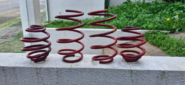 Molas esportivas