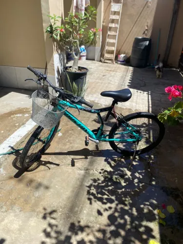 Bike Houston