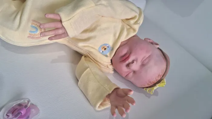 Bebe reborn kit Laura (desapego de colecionadora)