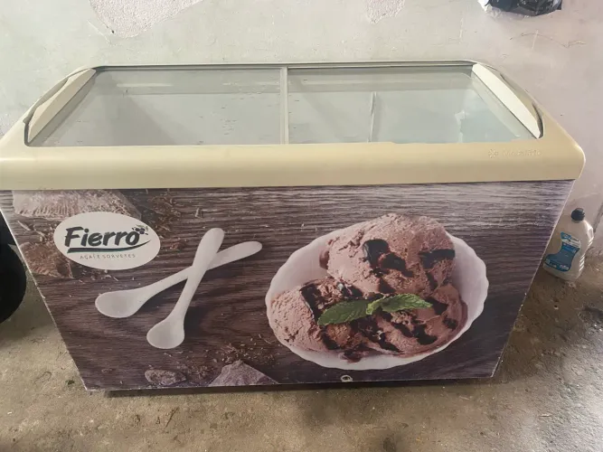 Freezer horizontal