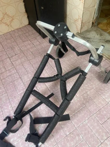 Cadeira de rodas para cachorro
