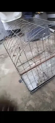Vendo gaiola de papagaio 