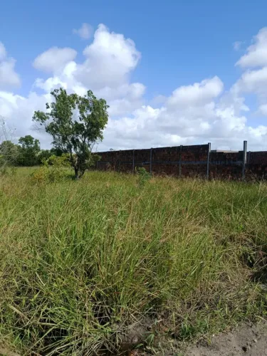 Vendo terreno 12x30 em marechal Deodoro na rua da academia bg