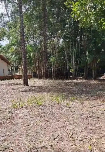 VENDO LOTE  CONDOMÍNIO AMAZON FLORA 1.250m2 , Benevides  ,