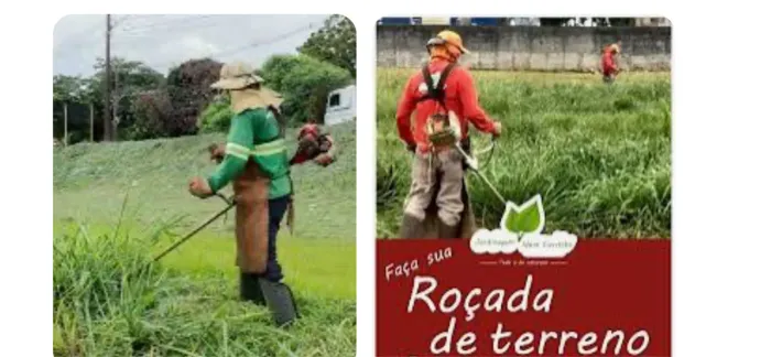 Rocagem de terrenos e chácaras e pequenas podas