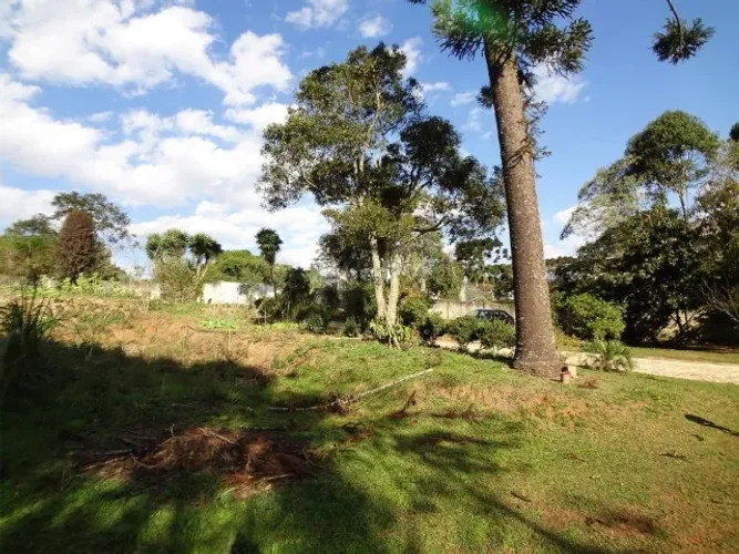 CHÁCARA DE 20.346m² NO UMBARÁ, CURITIBA - DIRETO COM PROPRIETÁRIO!