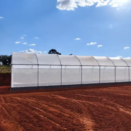 ESTUFA AGRÍCULA 10L X 51C X 3A