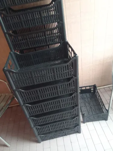 Cesta 10 reais cada