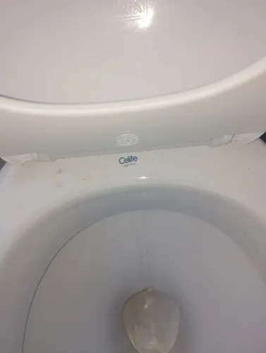 Vaso sanitário celite