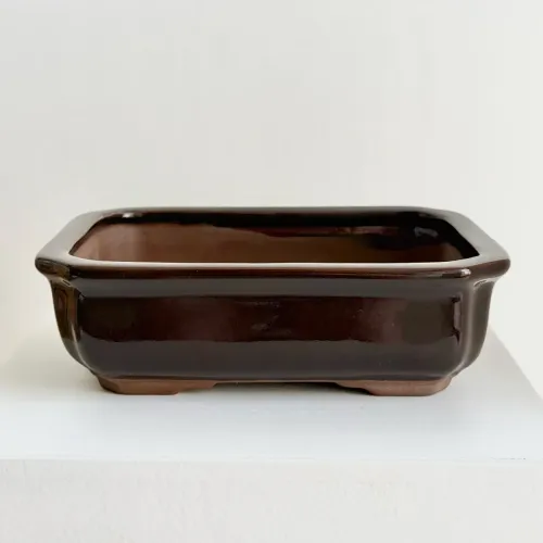Vaso Bonsai Cerâmico Retangular Literato 21x16x6cm