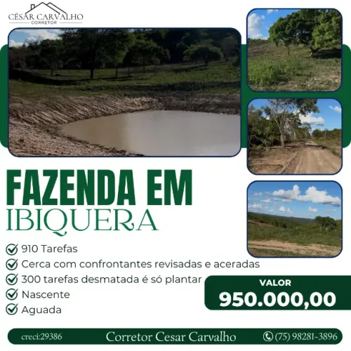 FAZENDA EM IBIQUERA - 910 TAREFAS