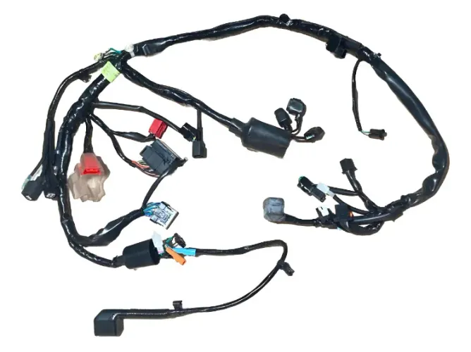 Chicote CG 160 2025.