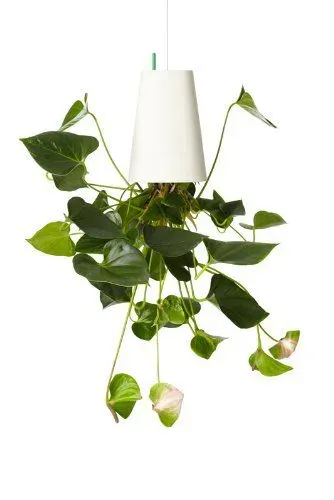Vaso de pendurar  com reservatório de água sky planter planter
