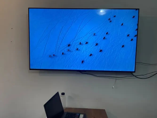 Televisão 55 polegadas 4k 120HZ