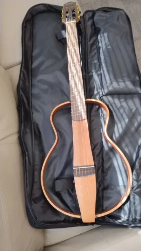 Violão Giannini Roadman 100%