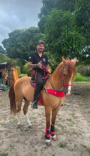 Cavalo manga larga