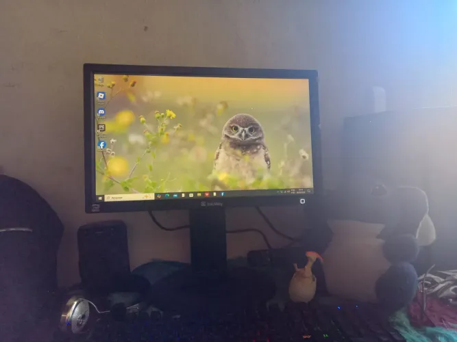 Vendo computador para trabalho e tem dois jogos Roblox e gta