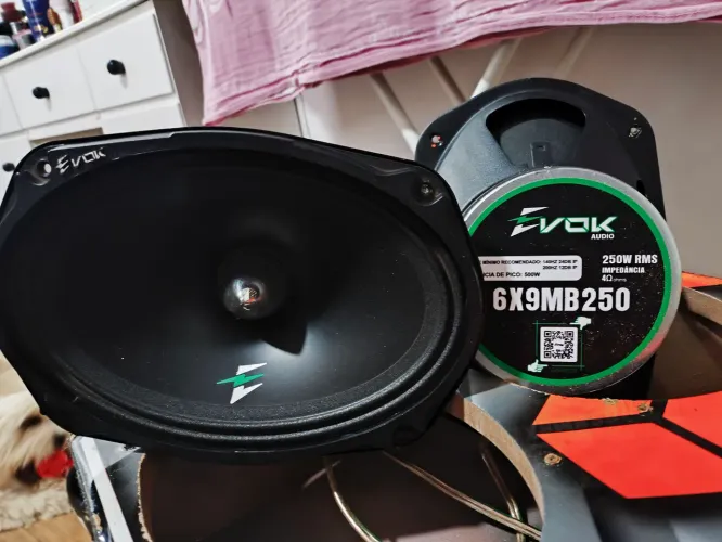 Vende-se 2 Par evok 250w Rms