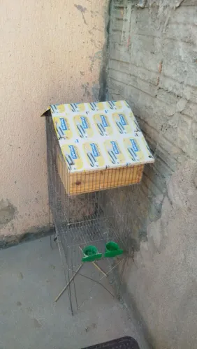 Gaiola para calopsita 