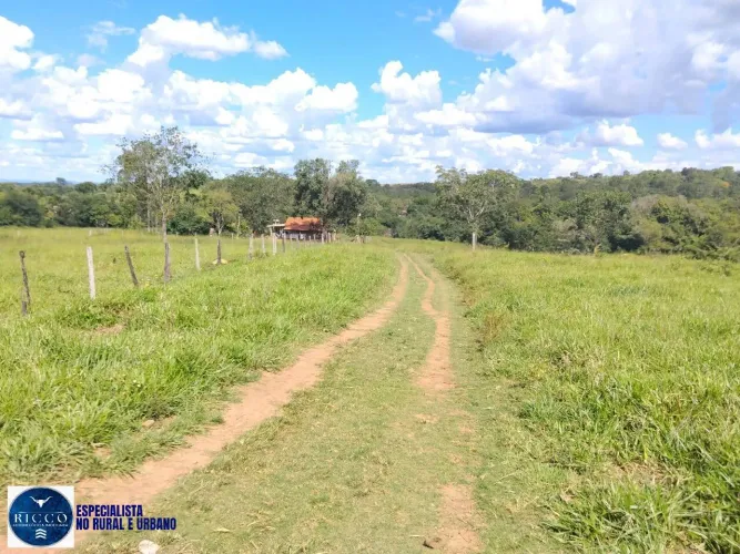 CHÁCARA À VENDA EM CEZARINA/GO 3 ALQUEIRES COM CÓRREGO