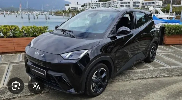 Locação byd dolphin mini