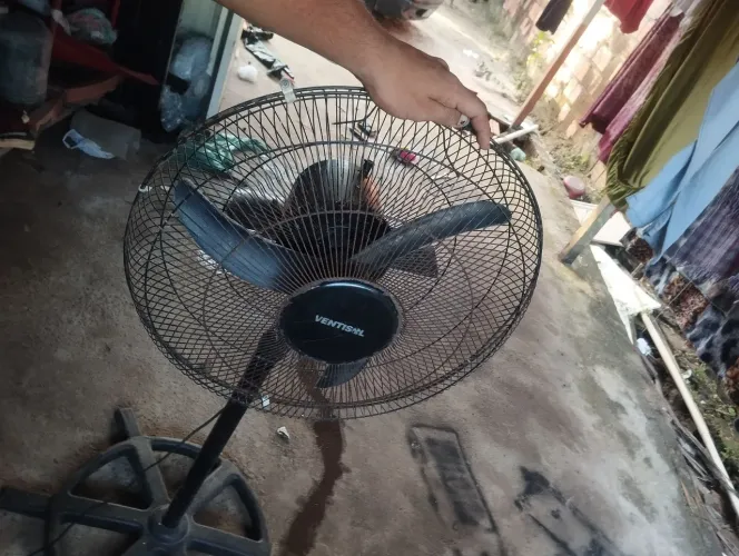 Ventilador forte 