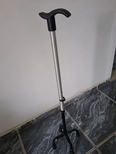 Moleta