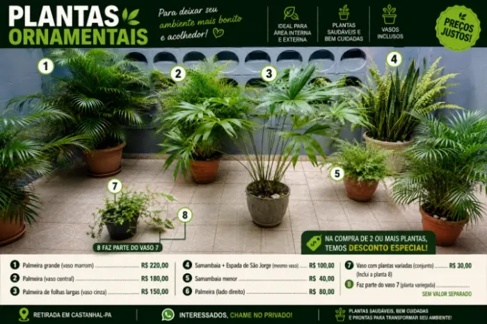 PLANTAS ORNAMENTAIS À VENDA