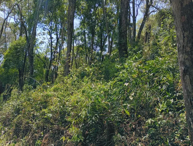 Terreno tanque grande guarulhos 