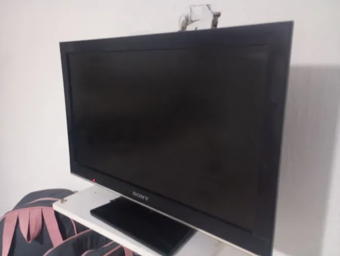 Televisão