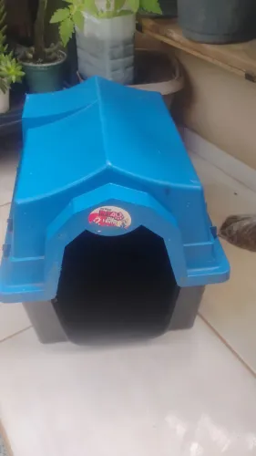 Kit pet