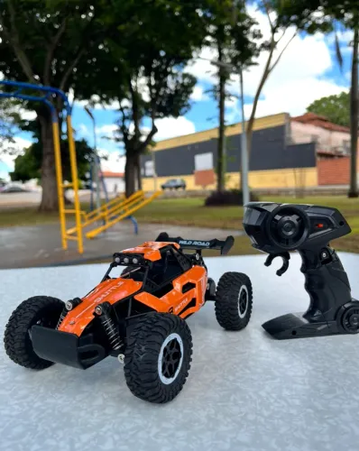 Carrinho de Controle Remoto Off Road Recarregável 4x4 Alta Velocidade 20km/h