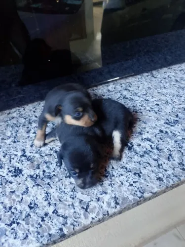 To vendendo 