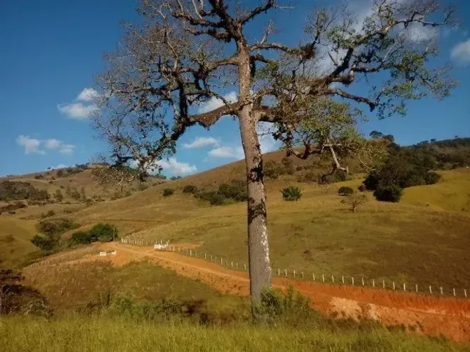 Lugar belíssimo na serra da Mantiqueira! Chácara de 2.500m2 em Delfim Moreira MG