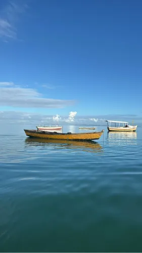 Barco tipo catraia