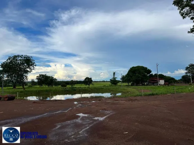 FAZENDA DUPLA APTIDÃO À VENDA EM FLORES DE GOIÁS  GO | 360 alqueires