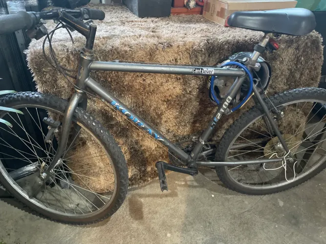 Bicicleta